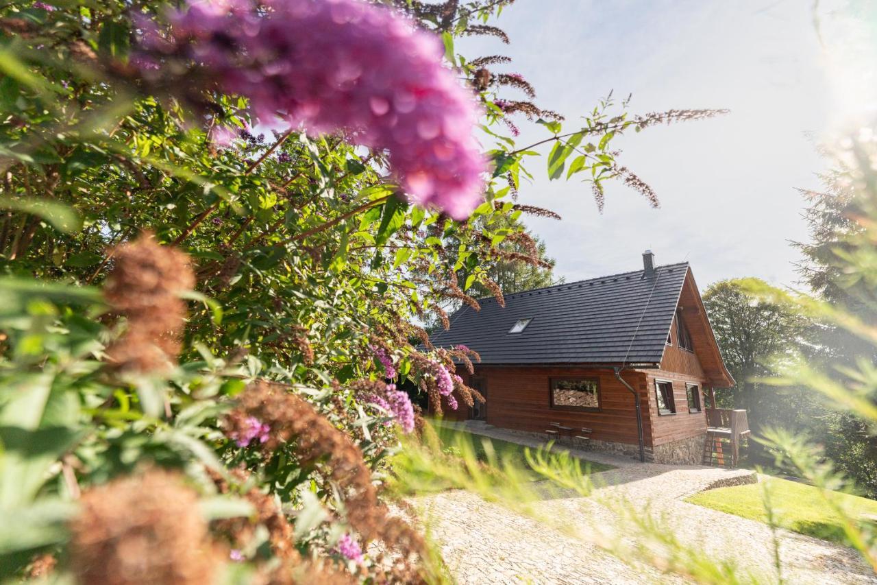 Villa Moderni Sumavska Roubenka S Vyhledem Na Boubin Vimperk Exterior foto
